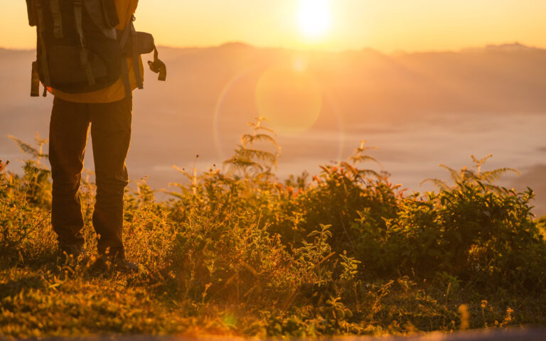 Desfrutando da Natureza e do Bem-Estar: Caminhadas em Trilhas Naturais