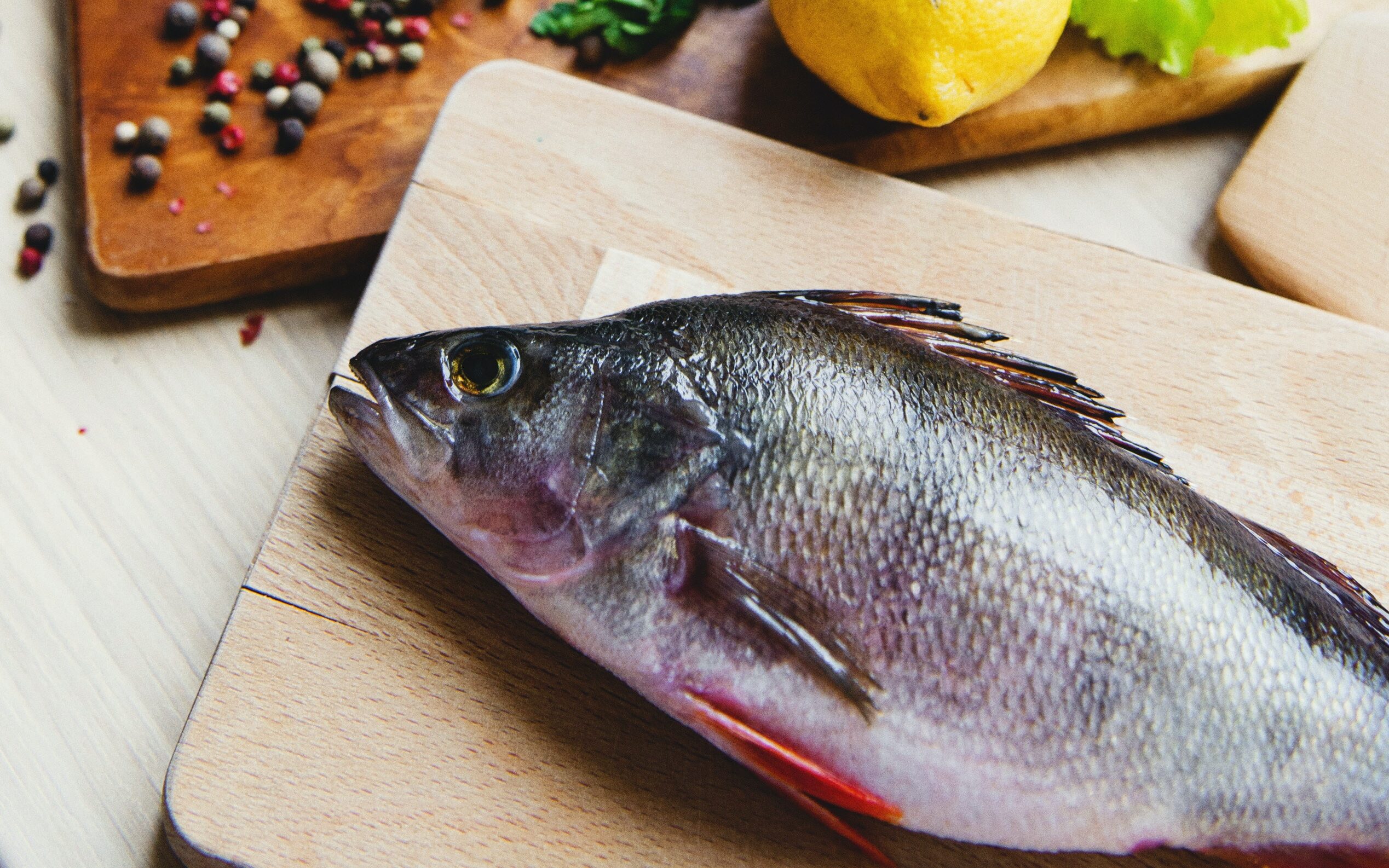 Os Benefícios do Peixe para a Saúde e sua Importância Vital na Alimentação