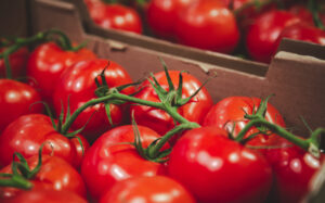 Os Benefícios do Tomate: Uma Análise Nutricional e de Saúde